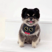 Playful Little Monster Bibs