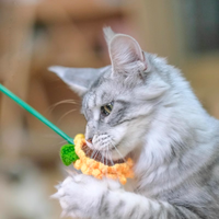 【MEOWCARD】Catnip Sunflower Cat Teaser