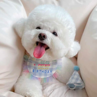 Happy Birthday Bib & Hat Set