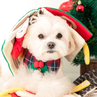 Christmas Style Training & Relaxing Toy Snuffle Book