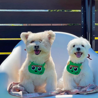 Playful Little Monster Bibs