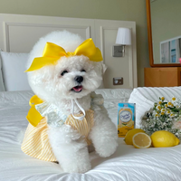 Cute Silk Bow Headband