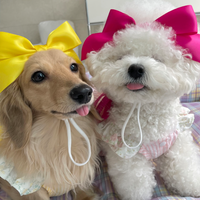 Cute Silk Bow Headband