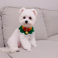 Christmas Joyful Jingle Collar - Green