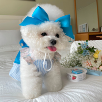 Cute Silk Bow Headband