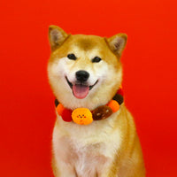 🧧CHUN JIE KUAI LE🧧 Good Luck Collar