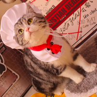 我是喵大厨-厨师帽围裙套装