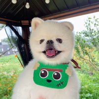 Playful Little Monster Bibs