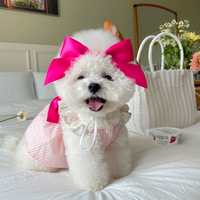 Cute Silk Bow Headband