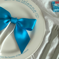 Cute Silk Bow Headband