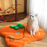 Lucky Persimmon Peanut Pet Bed Mat