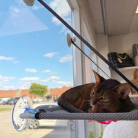Hanging Cat Hammock – Single or Double Layer Options