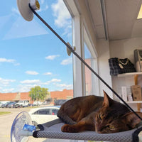 Hanging Cat Hammock – Single or Double Layer Options
