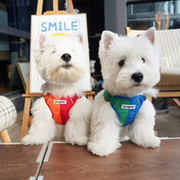 GlowGuard Reflective Harness & Leash Set