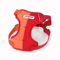 GlowGuard Reflective Harness & Leash Set