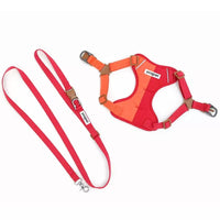 GlowGuard Reflective Harness & Leash Set