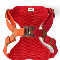 GlowGuard Reflective Harness & Leash Set