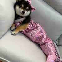 Pet Cute Magic Mermaid Set