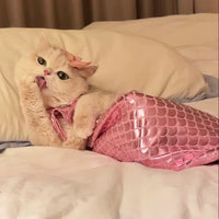 Pet Cute Magic Mermaid Set