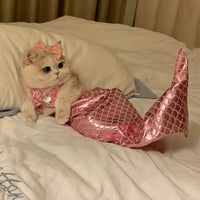 Pet Cute Magic Mermaid Set