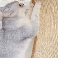 Flower Nest Scratchboard