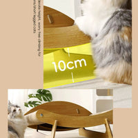 Shell Retreat! Crab-Shaped Sisal Pet Scratching Bed