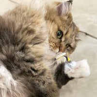 【Mori Cat】Wool Cat Toy