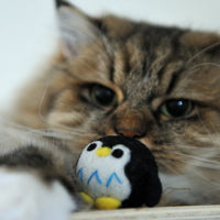 【Mori Cat】Wool Cat Toy - Varies Style