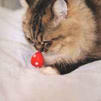 【Mori Cat】Wool Cat Toy