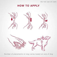 【Hartz】Ultraguard PRO 跳蚤及虱子除虫滴剂 - 适用于体重2.5至6公斤狗狗