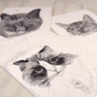 Personalized Pet Portrait Drawing - 4'x6" Canvas & Frame Included