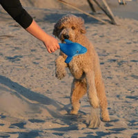 【Canada Pooch】Freeze & Chill Cooling Pals - Blue Dolphin