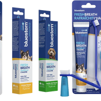 【Bluestem Oral】Care Toothpaste with coactiv+ Chicken Flavor for Dogs & Cats 70gm