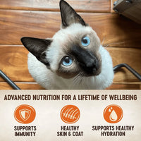 【Wellness】CORE Cat Wet Food - Chicken Recipe 1.75oz / 50g Pouch