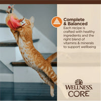 【Wellness】CORE Cat Minced Food - Chicken Recipe 1.75oz / 50g Pouch