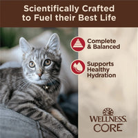 【Wellness】CORE Cat Minced Food - Chicken & Beef Recipe 1.75oz / 50g Pouch