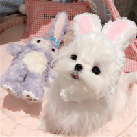 可爱兔子便装帽