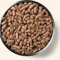 【VITAL ESSENTIALS VE】Dog - Freeze-Dried Raw - Duck Dinner Mini Nibs - 14 oz