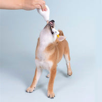 【PURLAB】咬咬鹅(嚼嚼大鹅吧!)