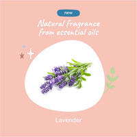 【Kin + Kind】薰衣草舒缓免洗喷雾 (猫狗通用) 236 ml