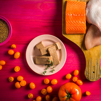 【Fromm】Four Star - Wet Cat Can Food - Chicken, Duck & Salmon Pate 5.5oz