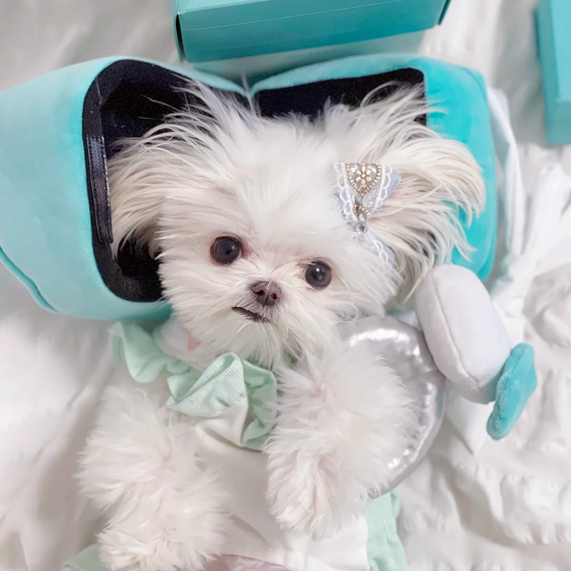 POOZPET Engagement Ring Toy Set