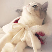 Furry Furry Winter Cape