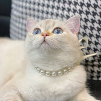 Pearl Necklace with Ribbon Bow