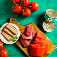 【Fromm】Four Star - Wet Can Cat Food - Salmon & Tuna Pate 5.5oz