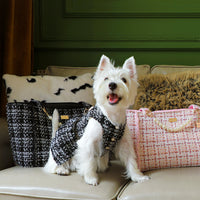 Catnel With Peal Carrier - Black