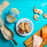 【Fromm】Four Star - Wet Can Cat Food - Seafood & Shrimp Pate 5.5oz