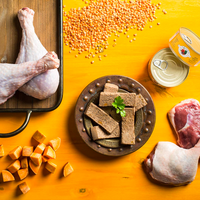 【Fromm】Four Star - Wet Can Cat Food - Turkey & Duck Pate 5.5oz