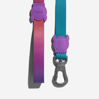 【Zee.Dog】Dog leash - Gradient Wave