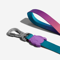 【Zee.Dog】Dog leash - Gradient Wave